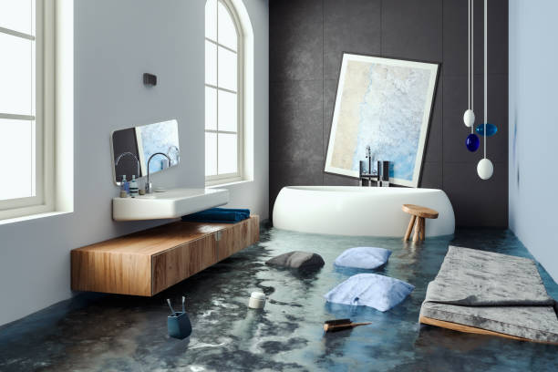 Best 24/7 water damage repair  in Northlake, SC