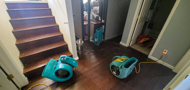 Best Local water damage restoration  in Northlake, SC