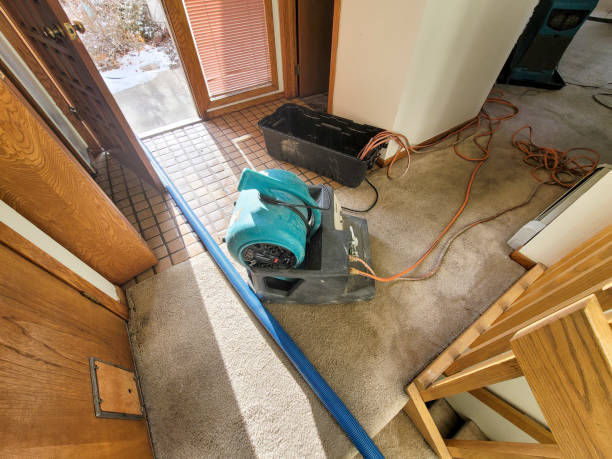 Best Fire Damage Restoration  in Northlake, SC