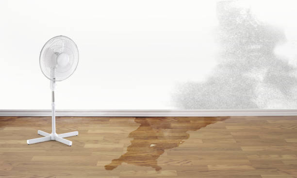 Best Ceiling water damage repair  in Northlake, SC