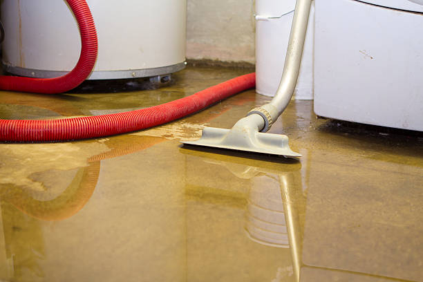 Best Flooded house restoration  in Northlake, SC