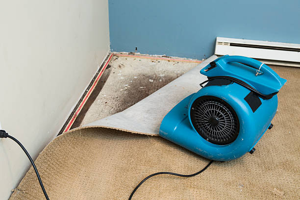 Best Commercial water damage restoration  in Northlake, SC